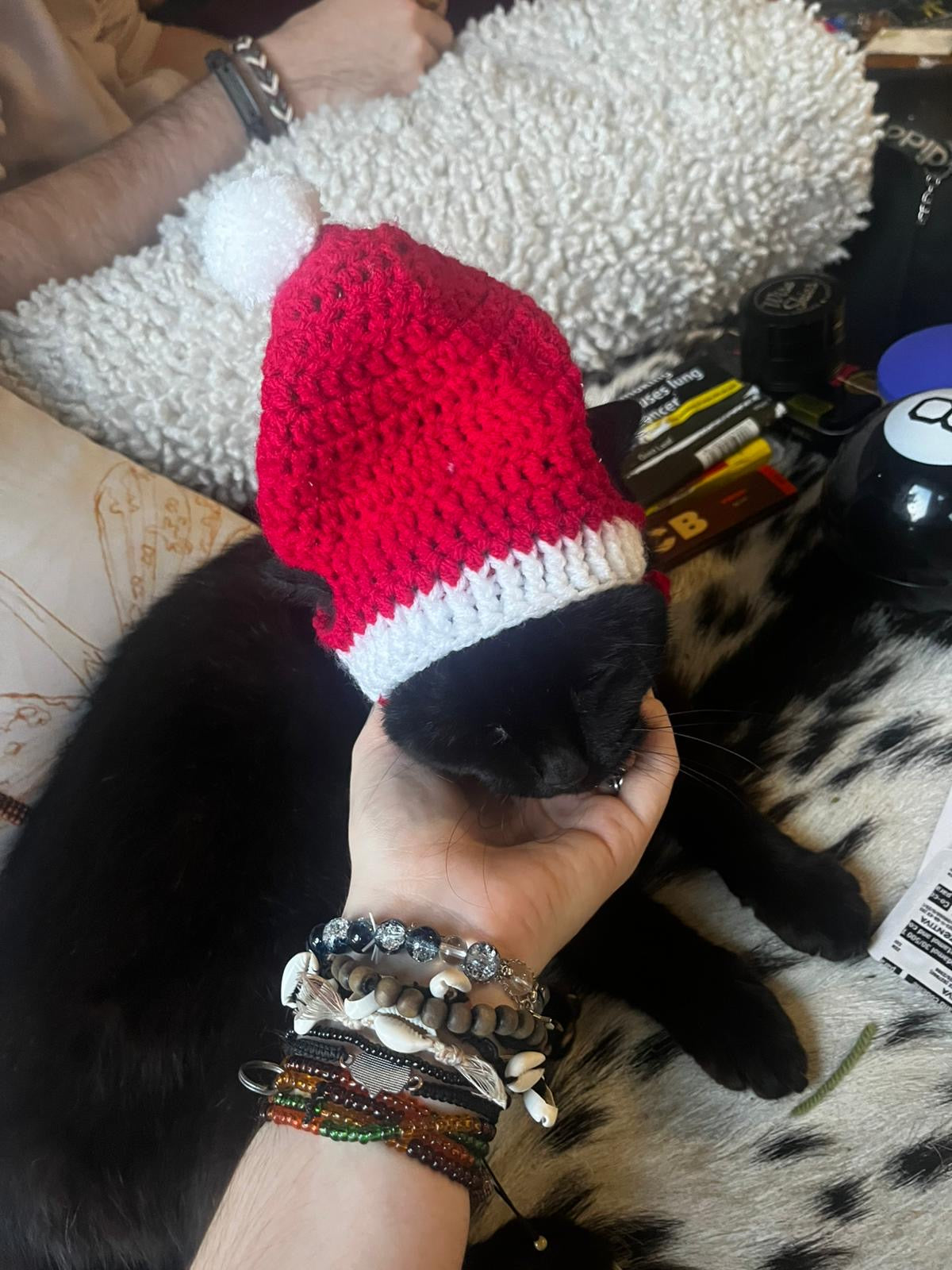 Cat Christmas hat